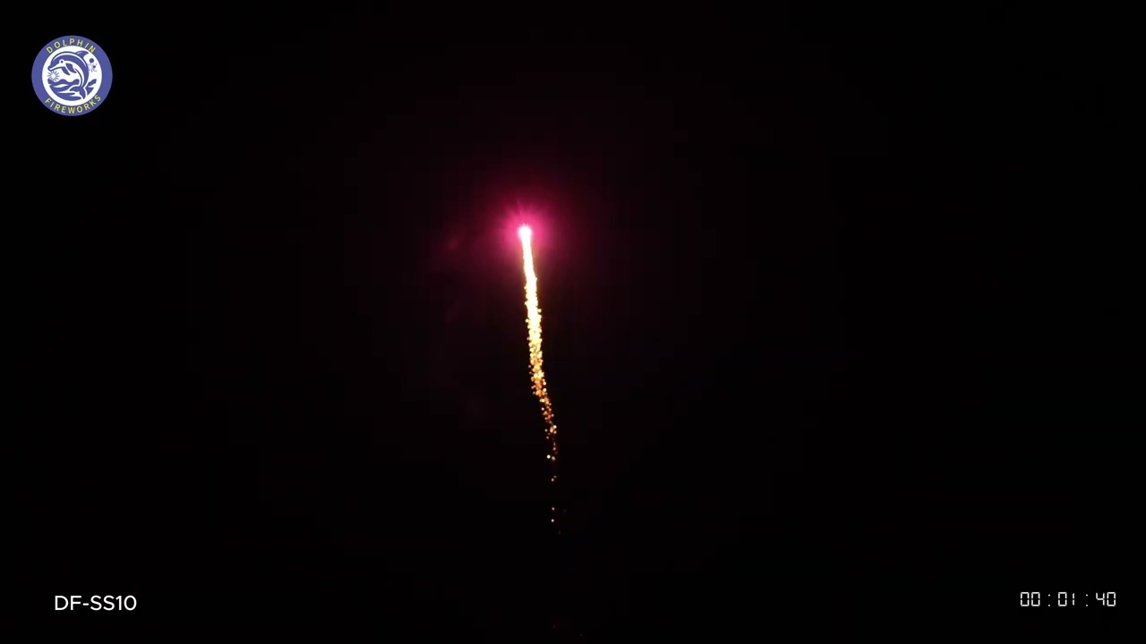 1.2'' SINGLE SHOT | DF-SS10