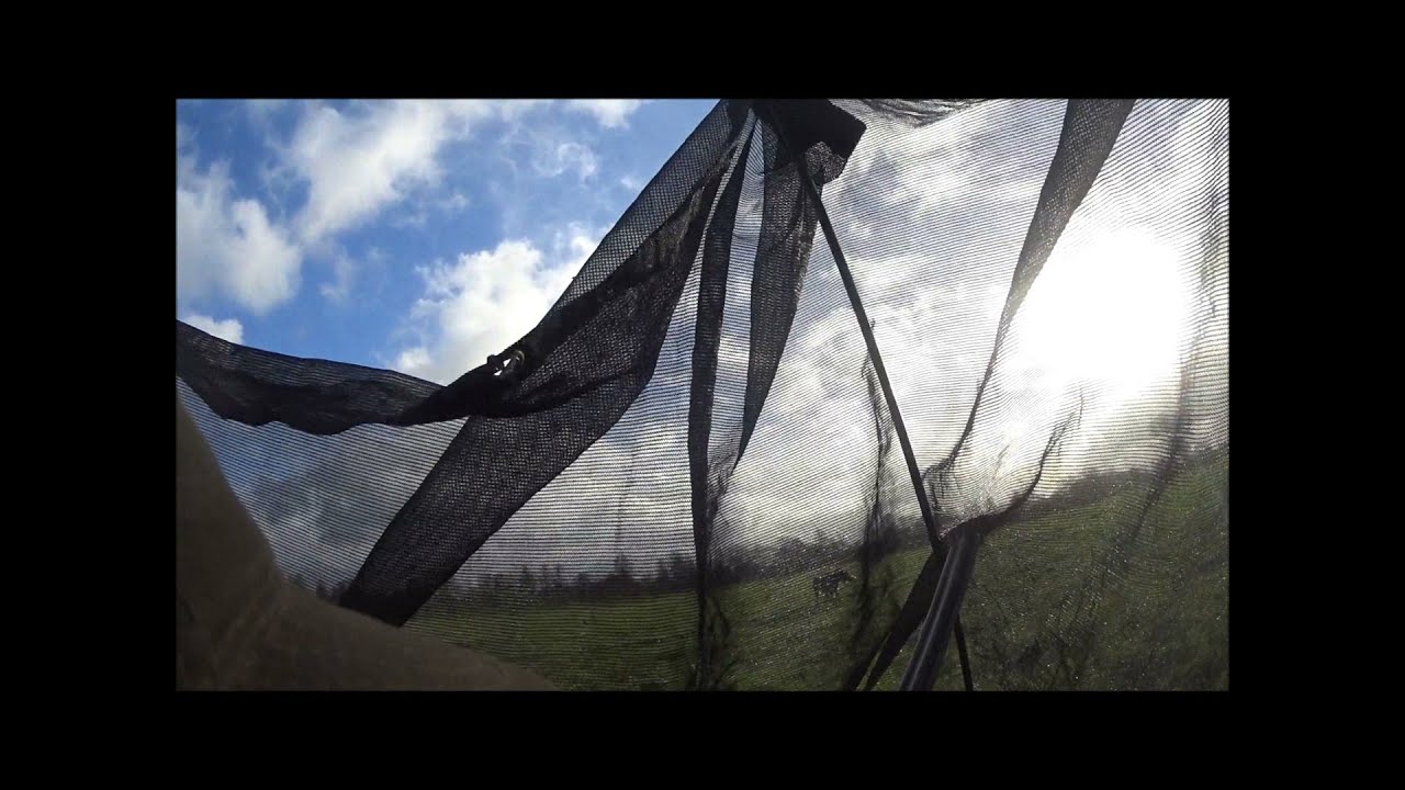 Kraaien beheer 27 03