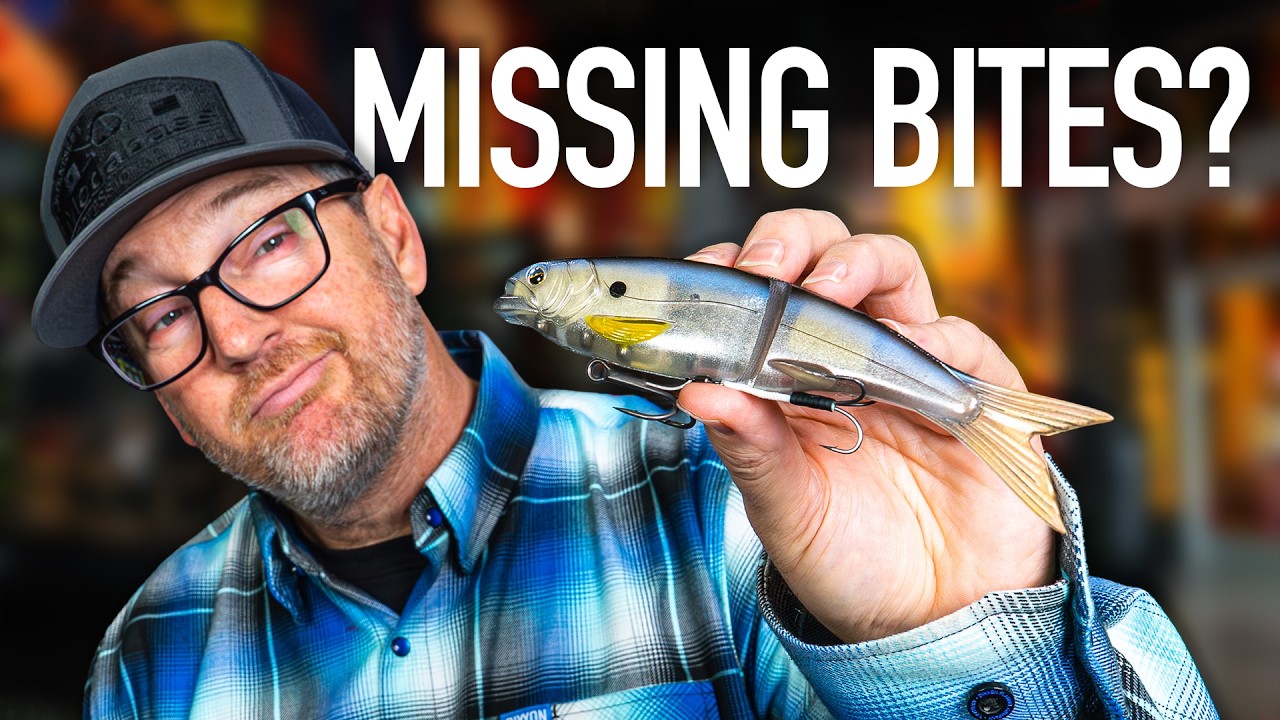 Every Angler Should Have This Japanese Swimbait (Don't Miss)