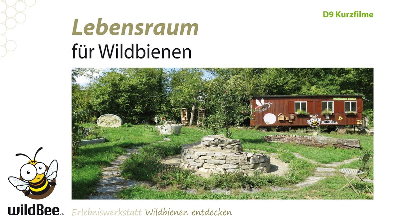 D09 Lebensraum