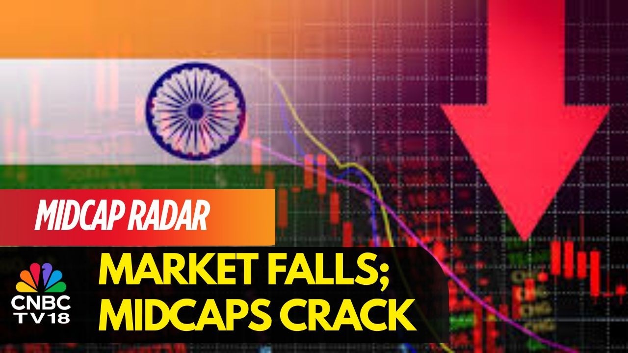 Индекс Sensex снизился на 1800 пунктов, индекс Nifty — до 24600; акции компаний сектора товаров д...