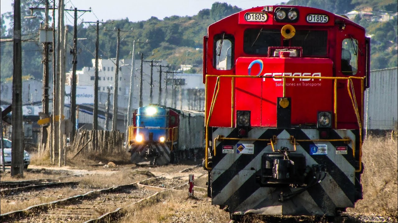 Las veteranas del sur | Locomotoras D1800 con los celulosos de Arauco