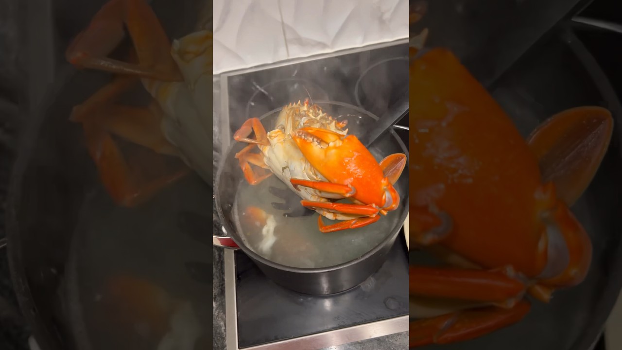 Mud Crab Catch & Cook
