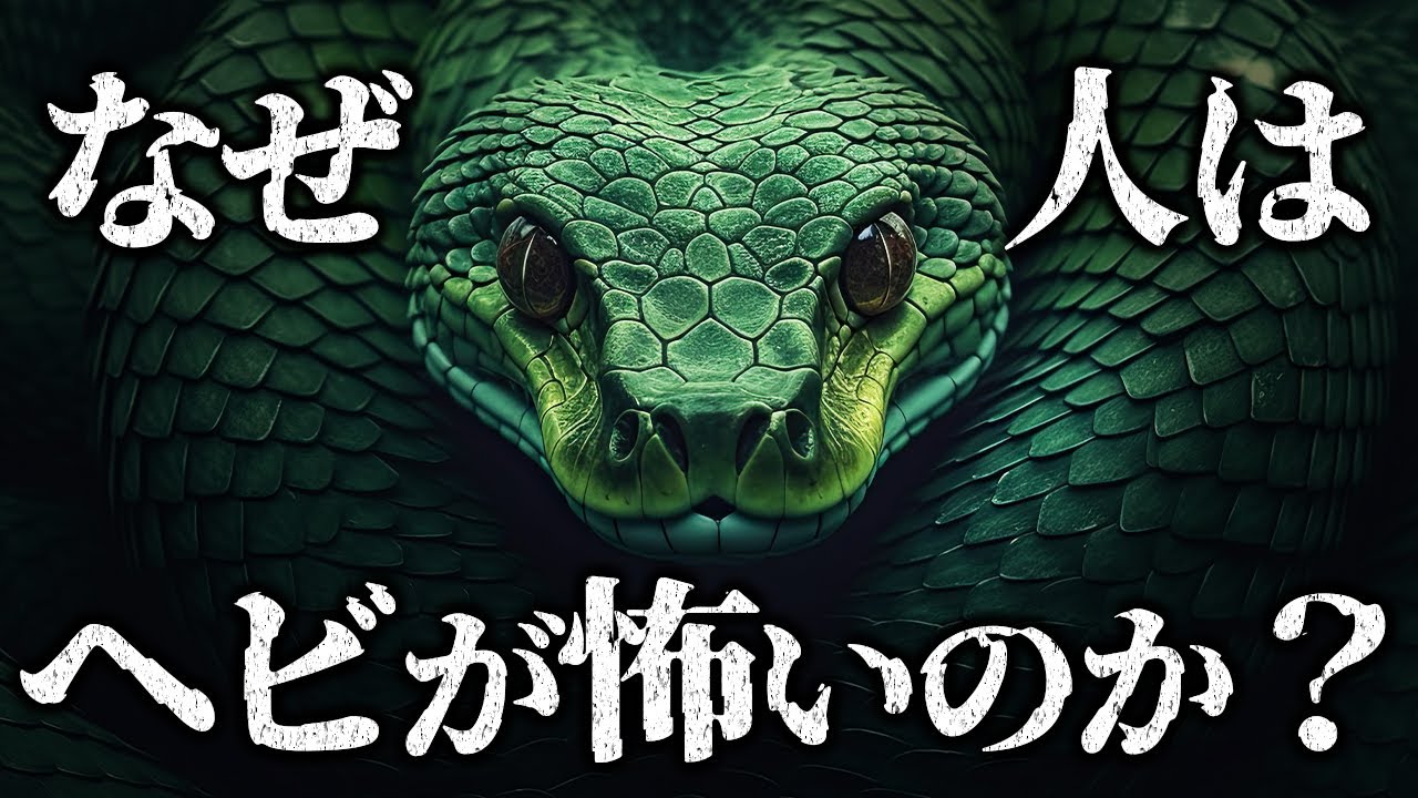 【ゆっくり解説】ヘビが霊長類に与えた進化とは？長きに渡る哺乳類とヘビの攻防戦