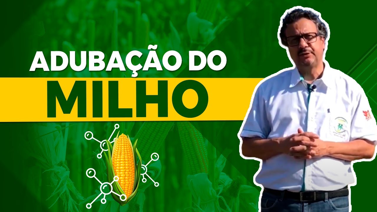 Aprenda a Adubar o Milho do Jeito Certo e Evite Perdas na Colheita! - Prof João Carlos Galvão 🌽