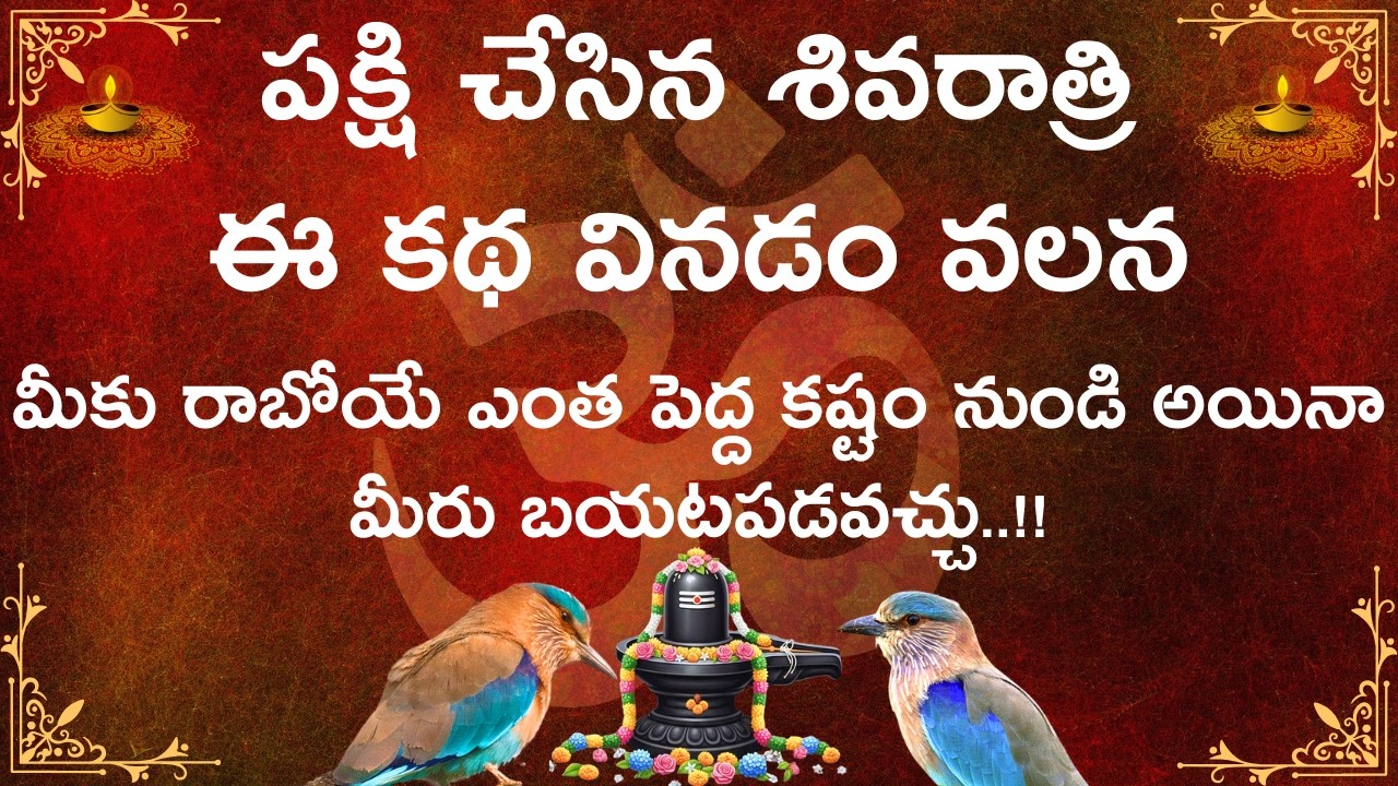 పక్షి చేసిన శివరాత్రి ఈ కథ వినడం వలన మీకు రాబోయే ఎంత పెద్ద కష్టం నుండి అయినా మీరు బయటపడవచ్చు