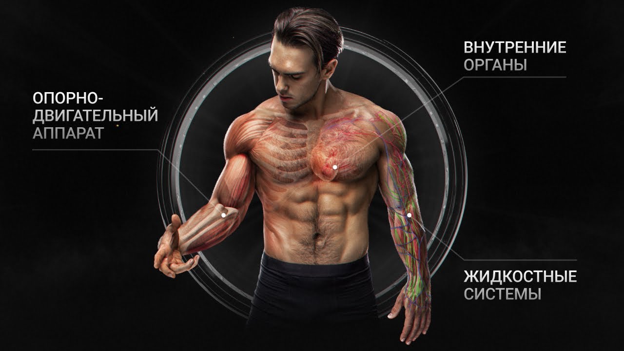 САМАЯ НЕДООЦЕНЕННАЯ ПРИВЫЧКА XXI ВЕКА | Фильм Biomachine