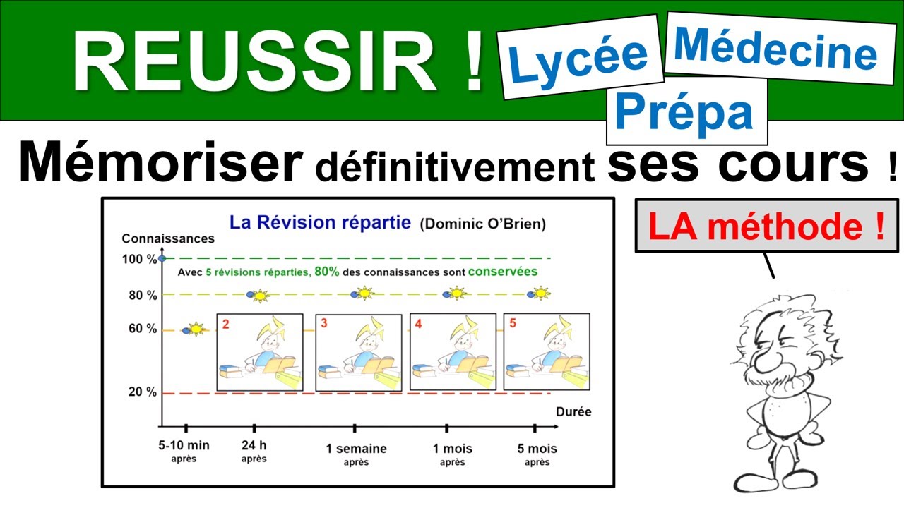Réviser efficacement avec la révision répartie