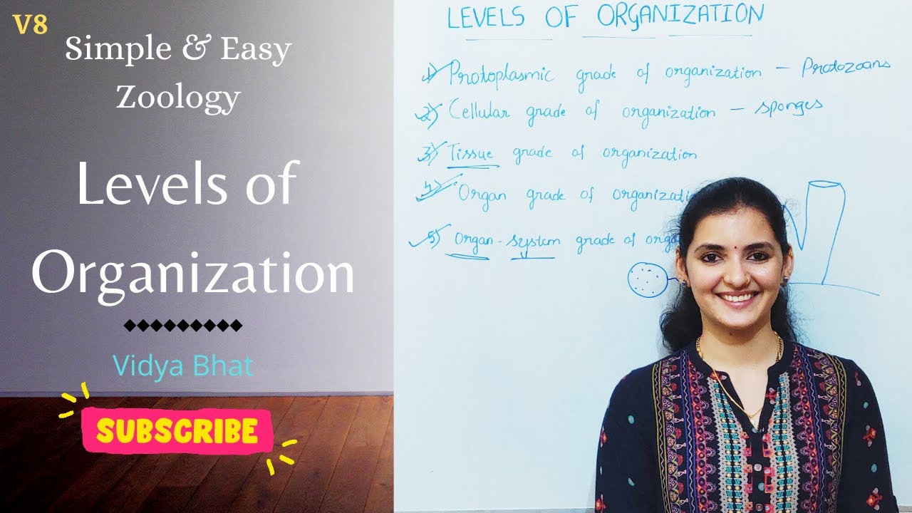 Levels or Grades of organization|Protoplasmic|Cellular|Tissue|Organ|Organ system level|