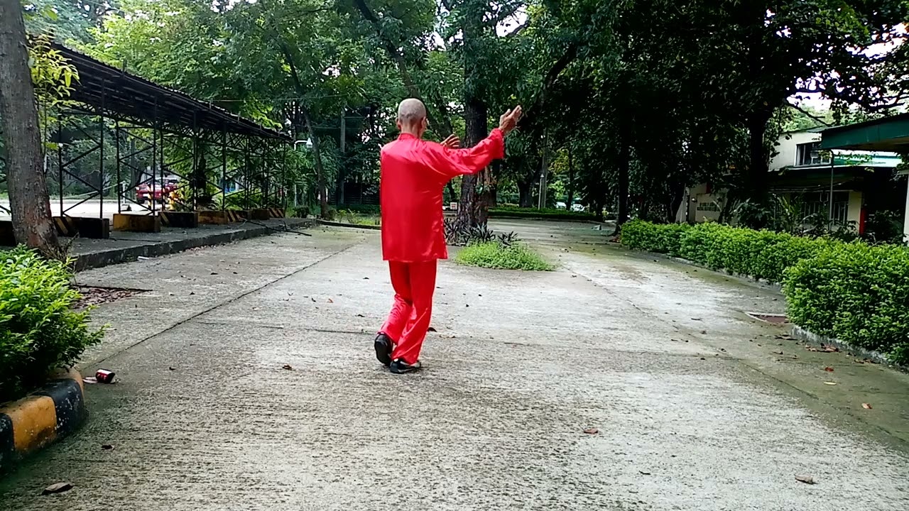 Tai Chi Osteoporosis Back view