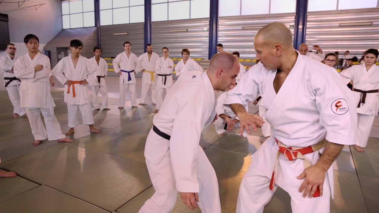 Stage de karaté à Toulouse avec Sensei Serge Serfati