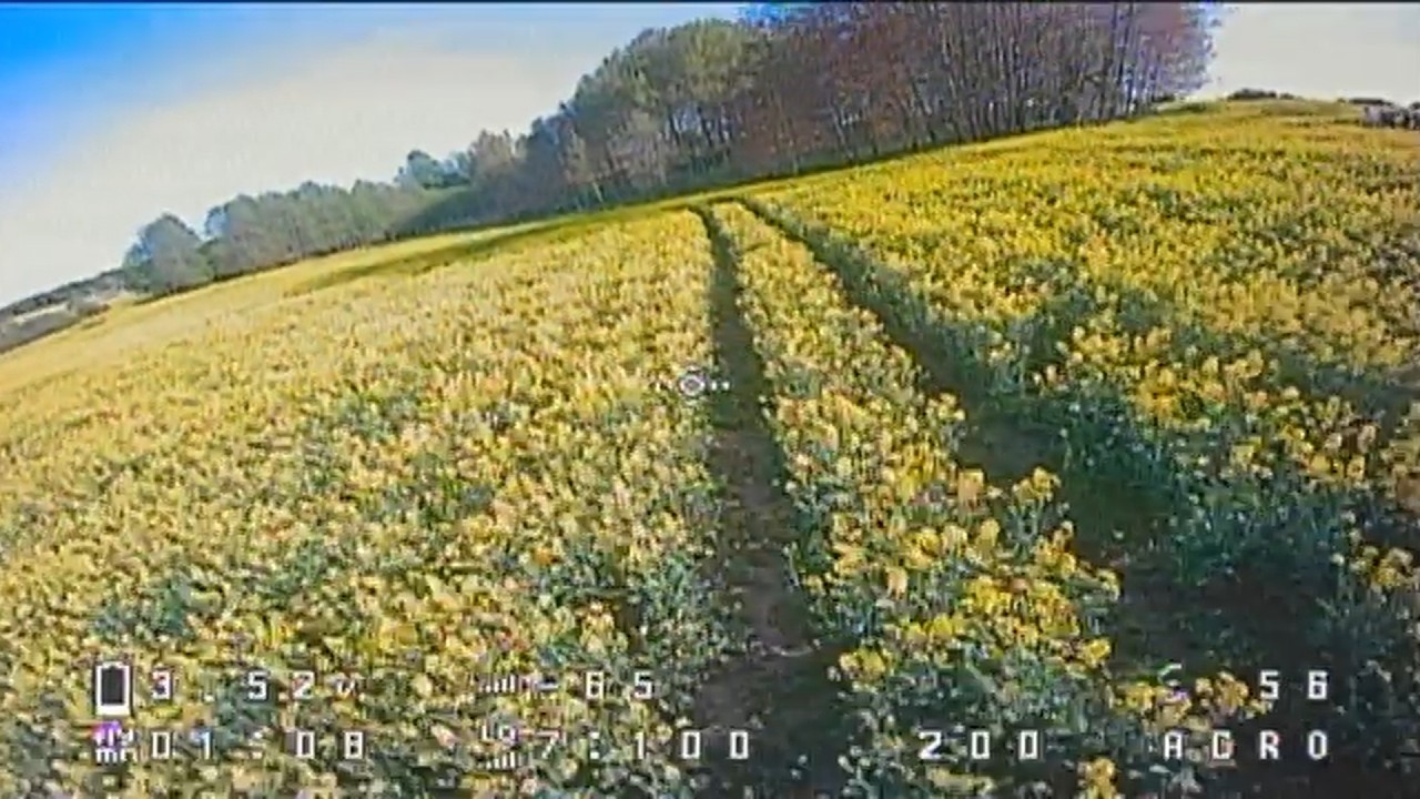 Outdoors with BetaFPV Air65 Tinywhoop