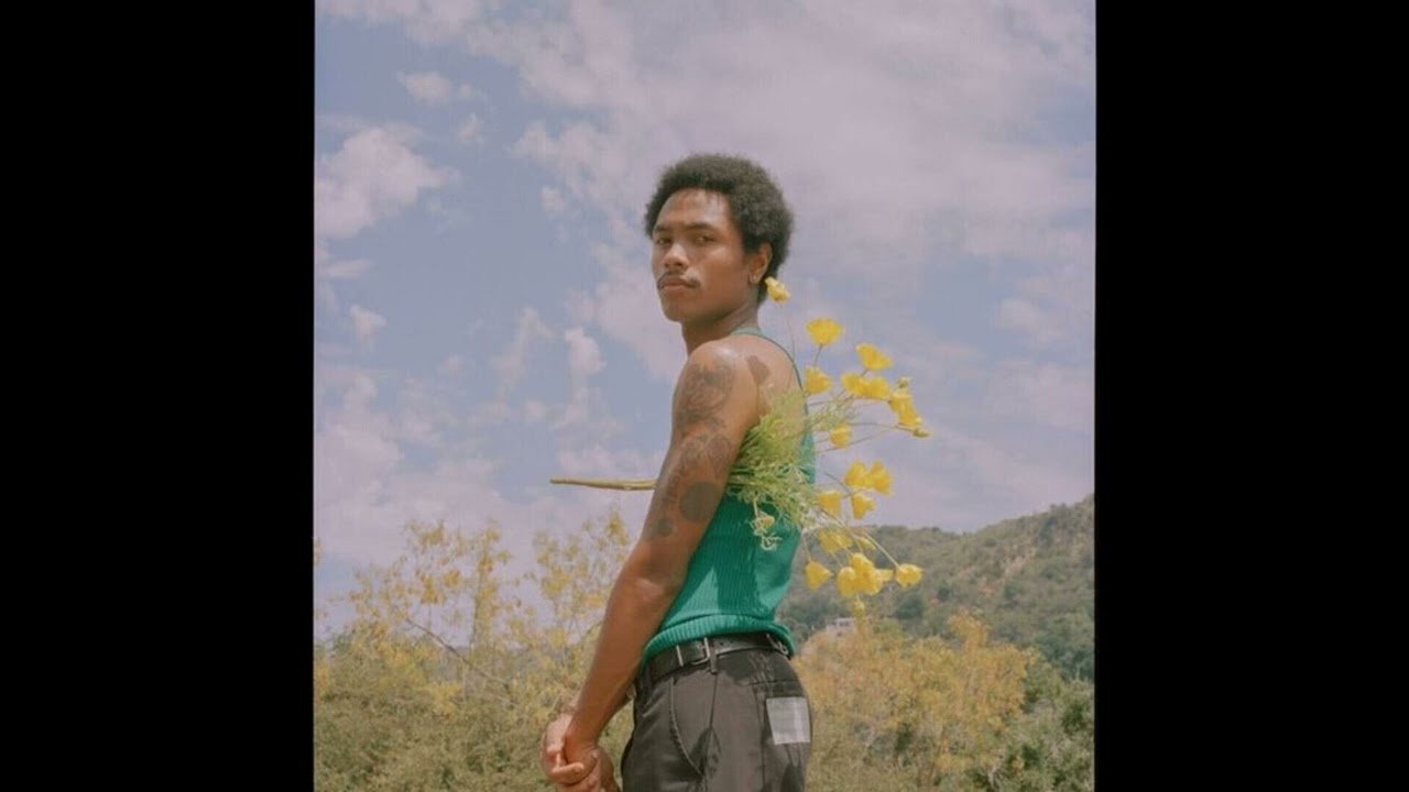 (free) STEVE LACY + FRANK OCEAN TYPE BEAT - 