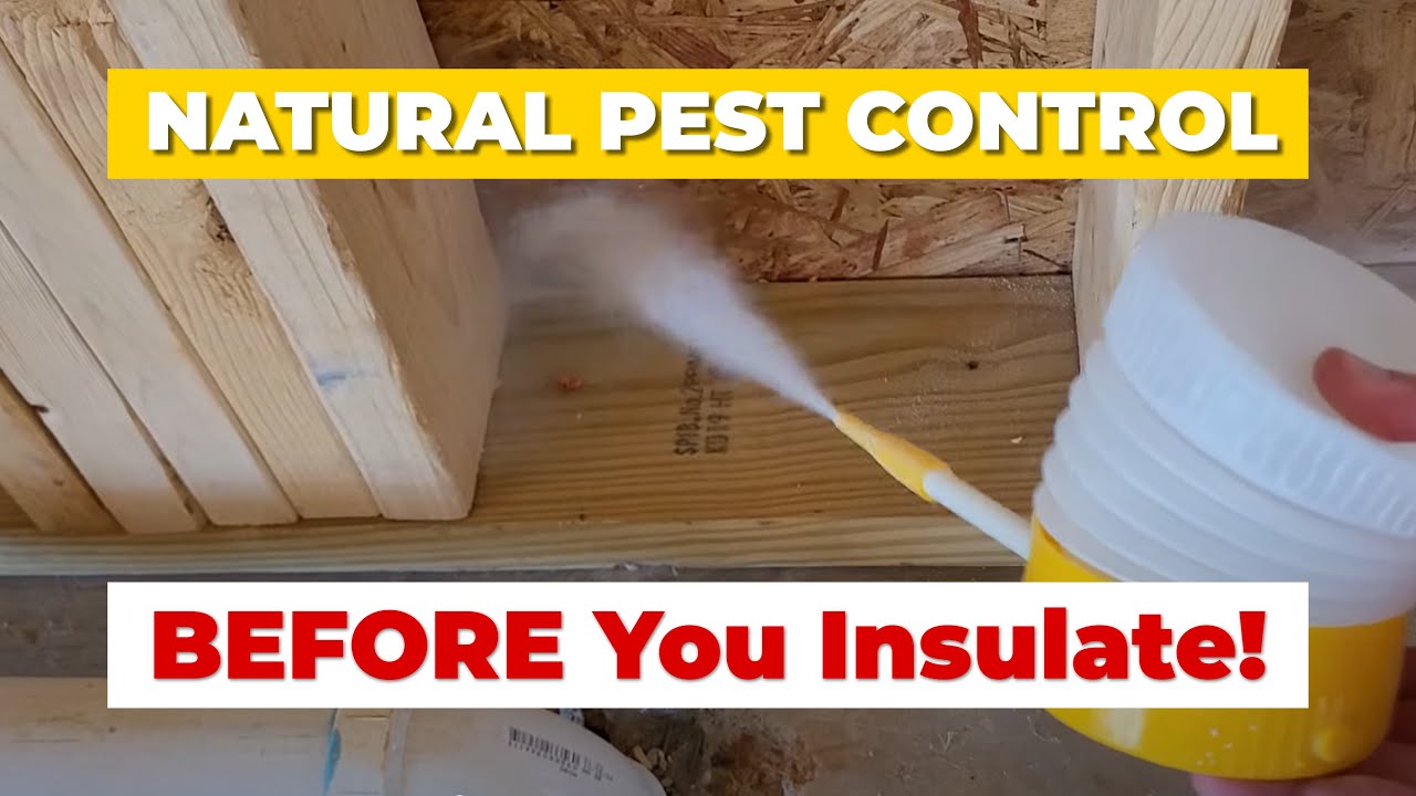 DIY Natural Organic Pest Control | How & Why We Used Diatomaceous Earth In Our Home (No Chemicals!)