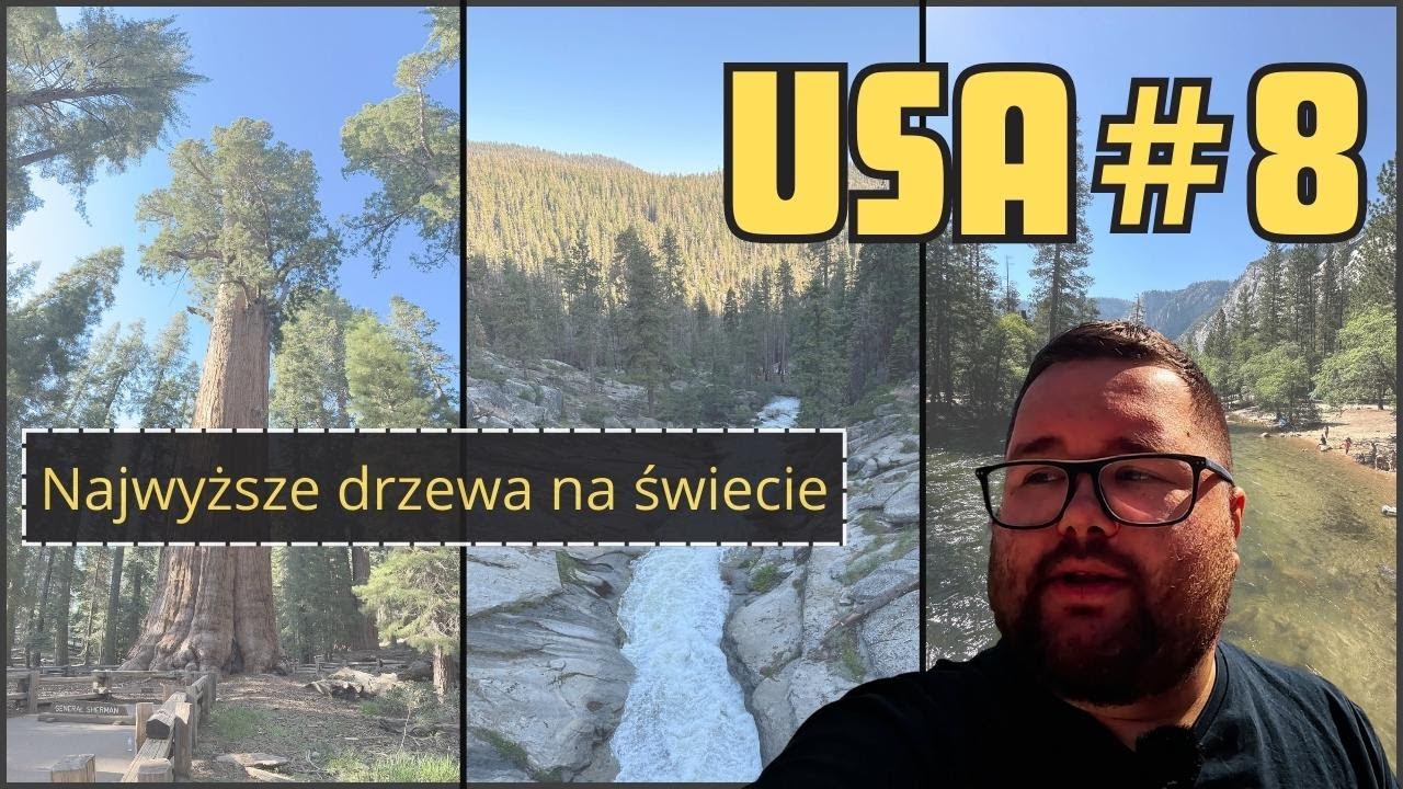 Yosemite i Sekwoje, czyli największe drzewa na świecie! | USA#8
