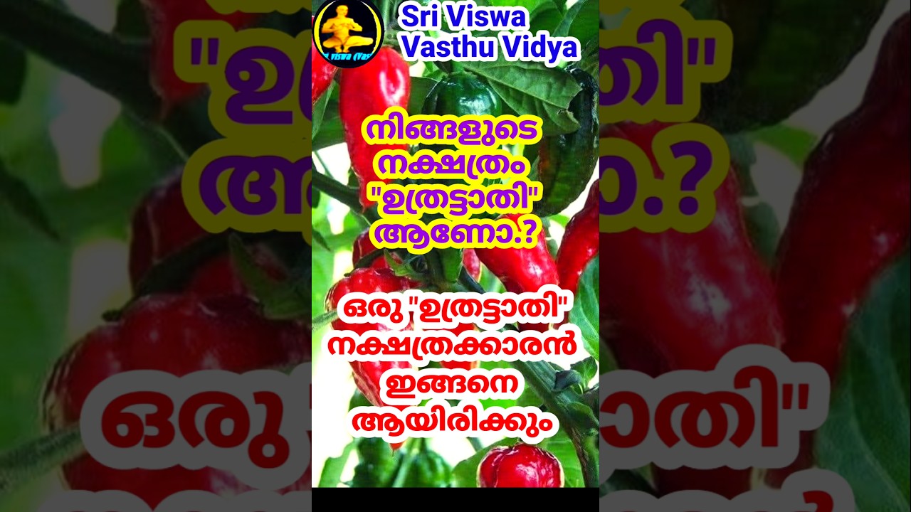 Uthrattathi ~ Men ||ഒരു ഉത്രട്ടാതി നക്ഷത്രക്കാരൻ ഇങ്ങനെ ആയിരിക്കും || Sri Viswa Vasthu Vidya
