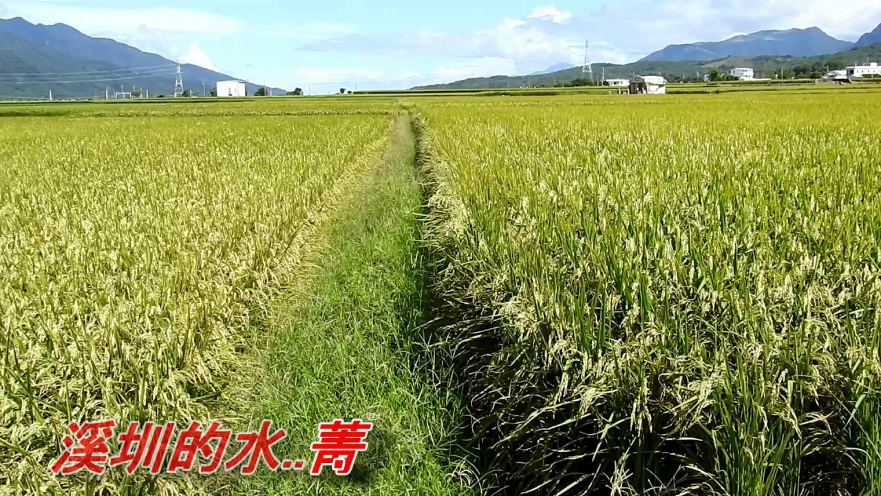 快樂的農家(陳芬蘭).mp4