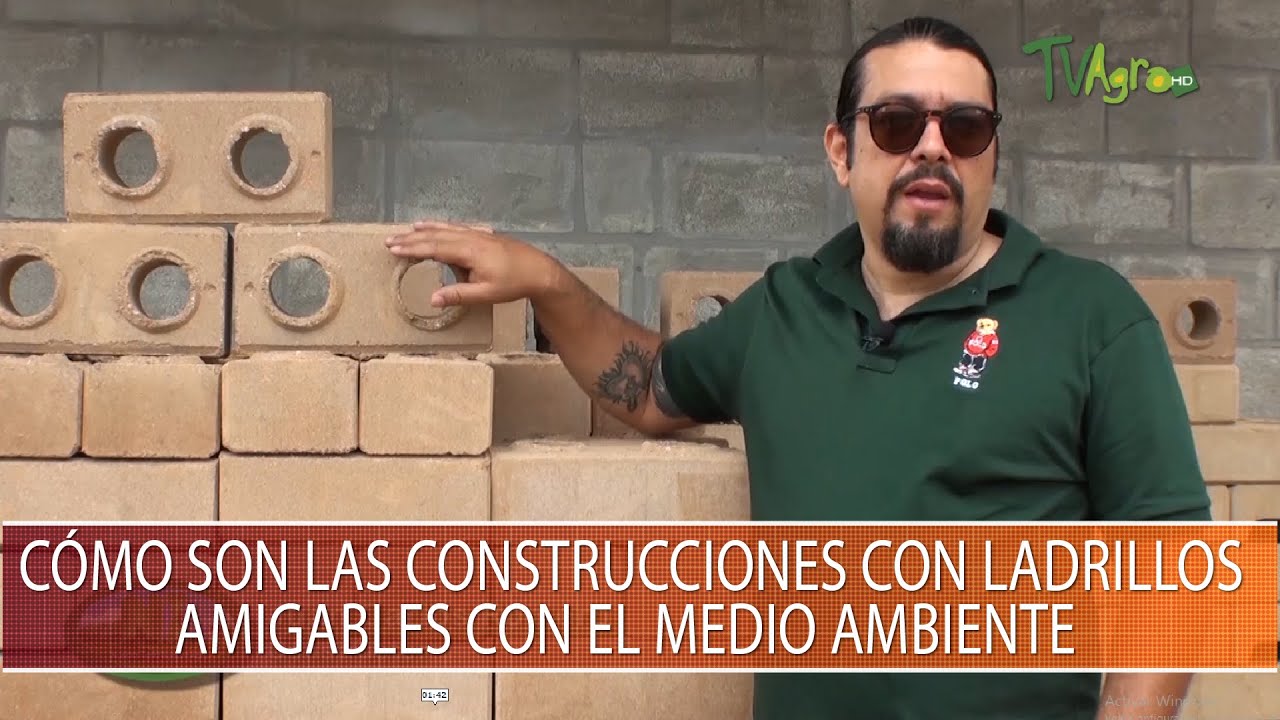Como son las construcciones con ladrillos amigables con el medio ambiente - TvAgro
