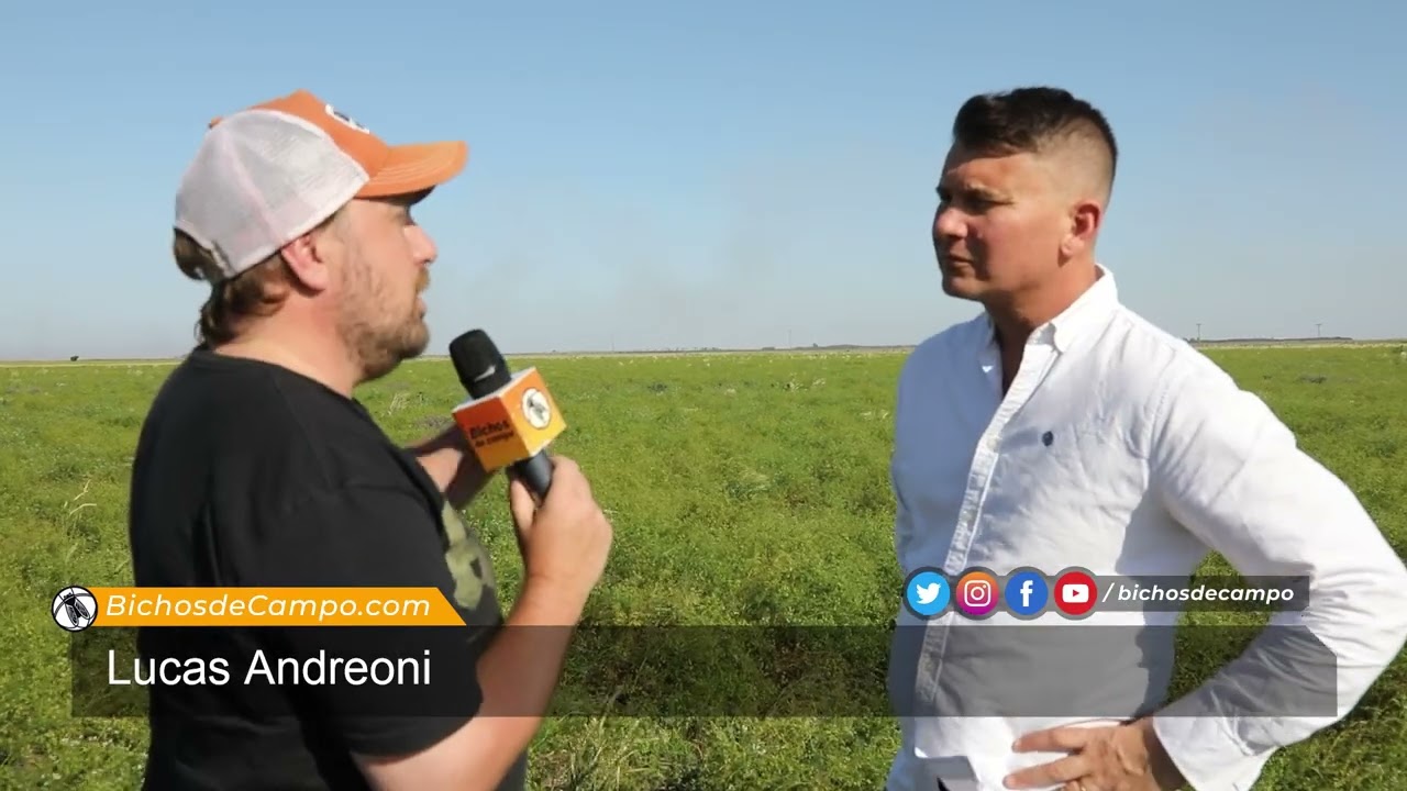 Lucas Andreoni, agrónomo fanático de los cultivos de servicio que siembra coriandro