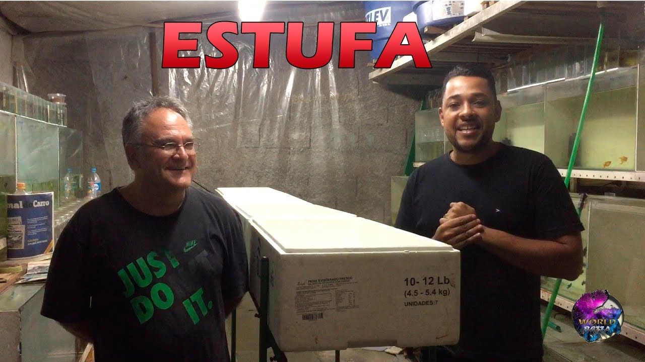 VISITA A ESTUFA DO AMIGO OSVALDO
