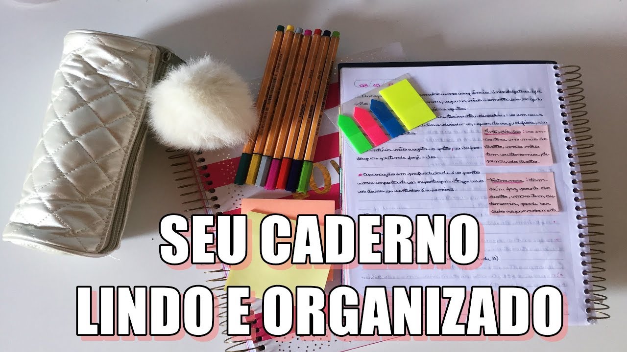 DICAS PARA DEIXAR SEU CADERNO LINDO E ORGANIZADO GASTANDO POUCO #2