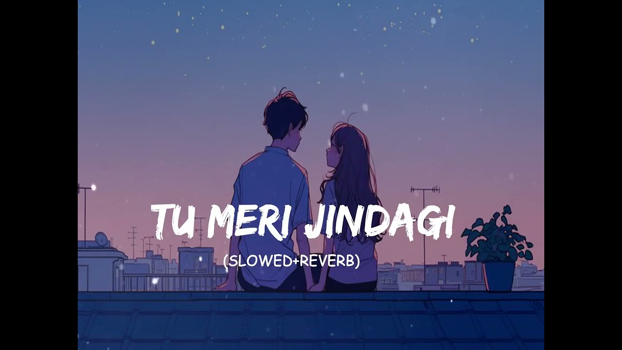 tu meri jindagi / mind relax lofi song❤
