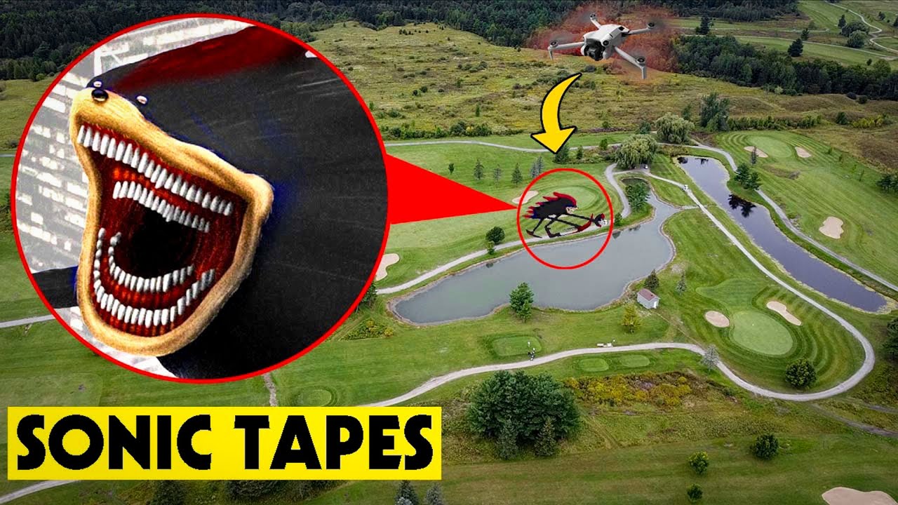 DRONE CATCHES SHIN SHADOW IN REAL LIFE (SONIC TAPES)