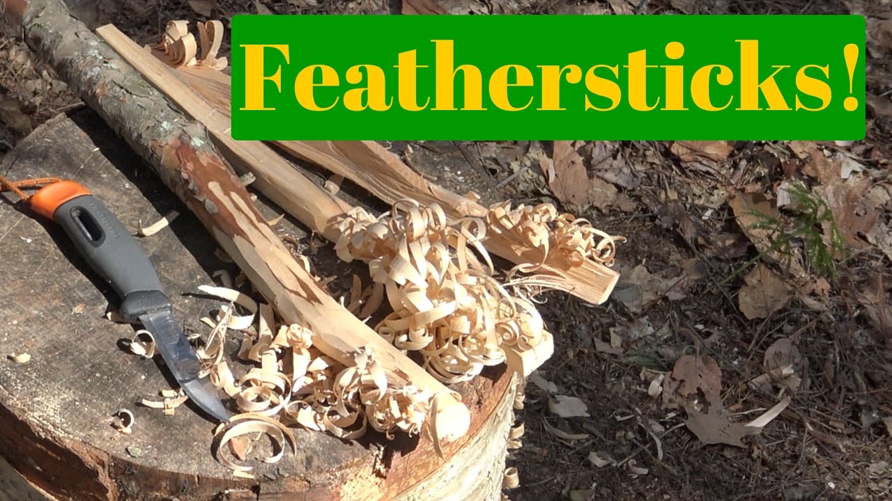 Feathersticks