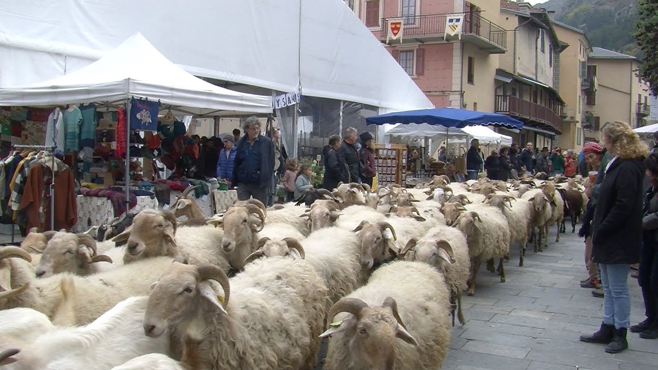 La Brigue alla scoperta della 15° Festa della pecora Brigasca