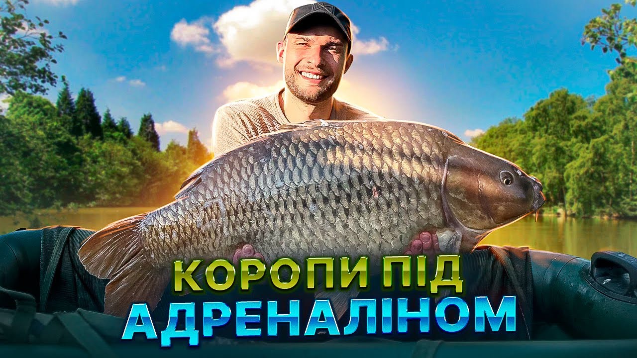 Обережно !Риба під Адреналіном ,Коропи майже зламали мене навпіл 😂.Рибалка на мальовничій водоймі .