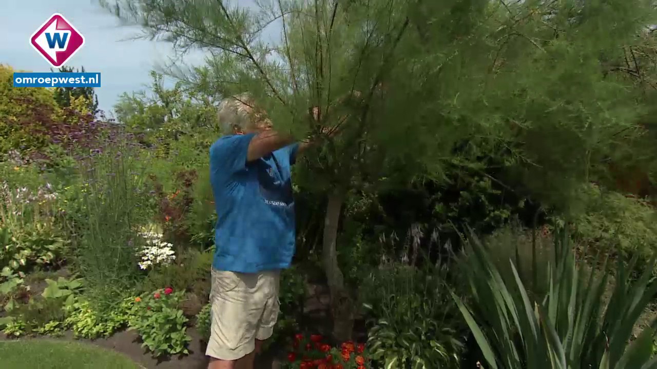 Volkstuinencomplex Eigen Arbeid erepenning na 100 jaar samen werken