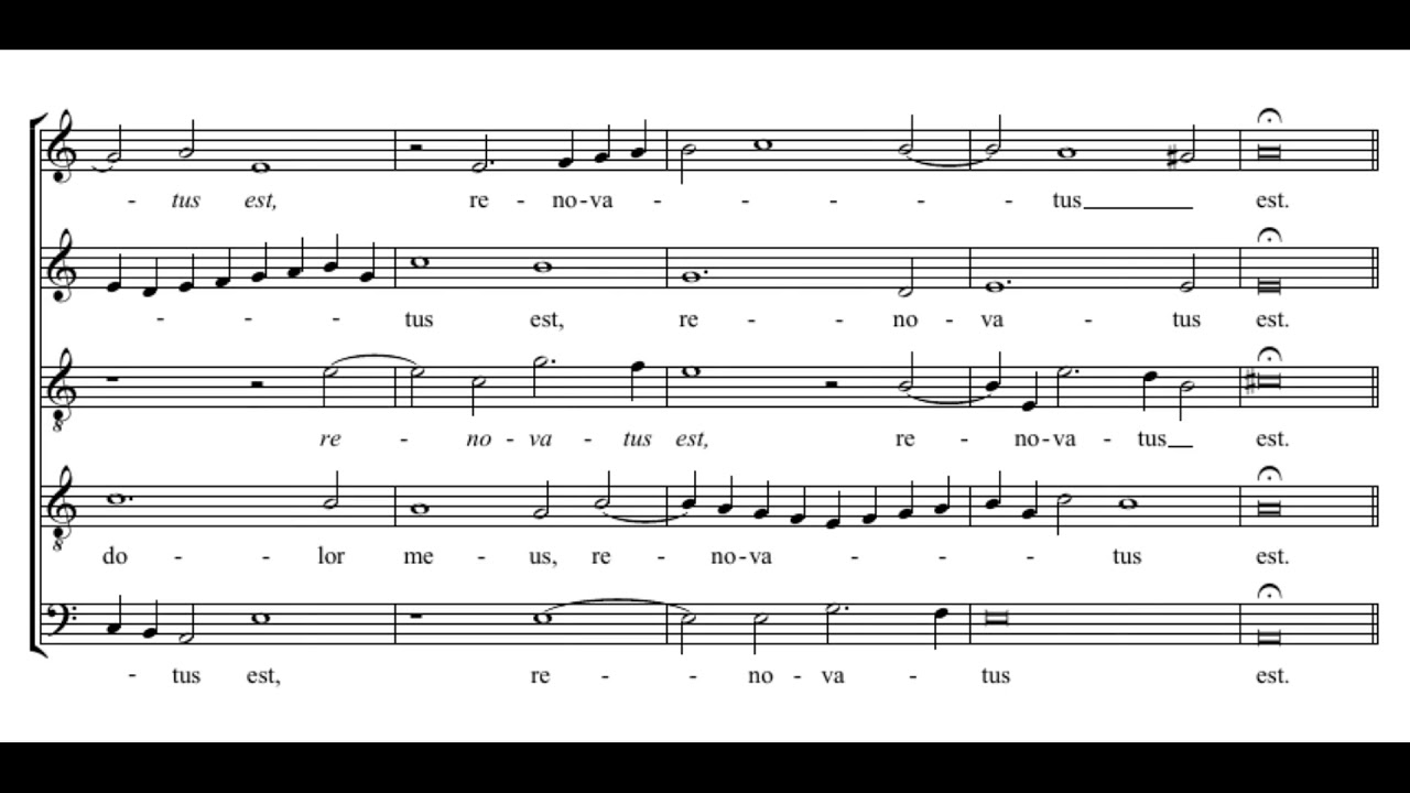 Byrd: Defecit in dolore - Cardinall's Musick