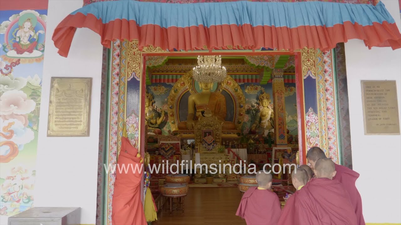 Young monks chanting inside Dali Monastery prayer hall Darjeeling