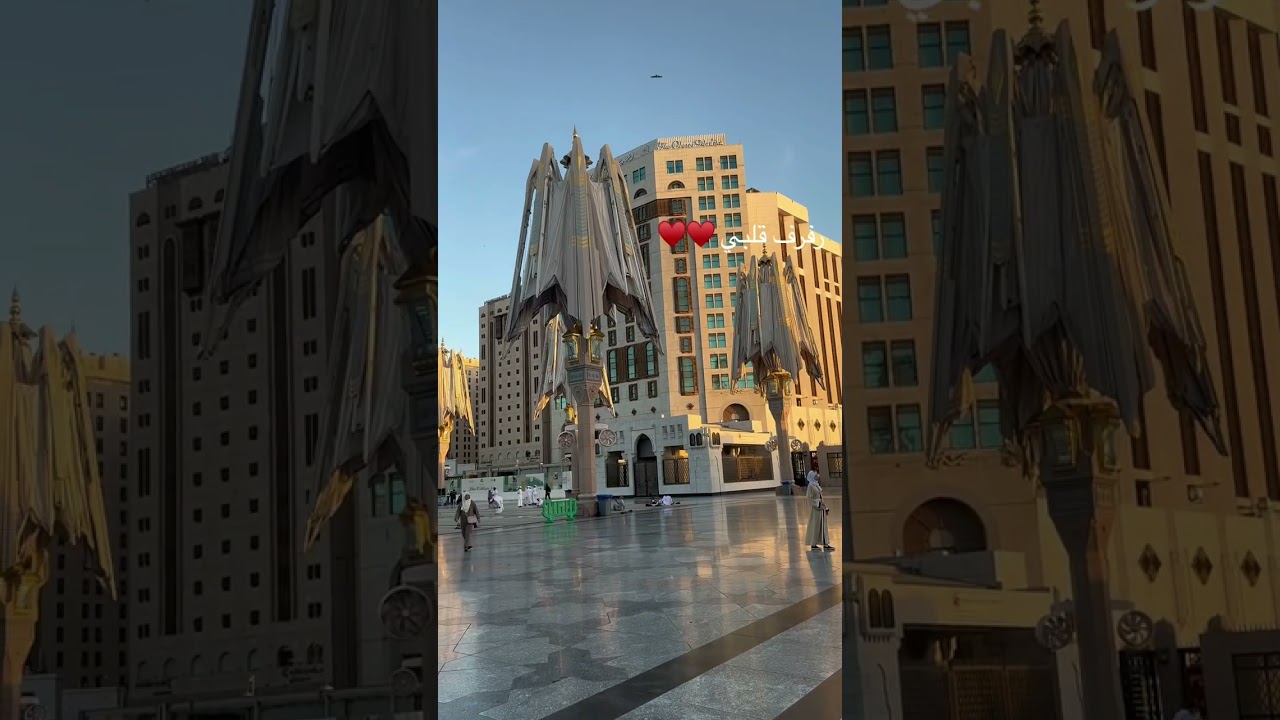 6 جانفي 2025