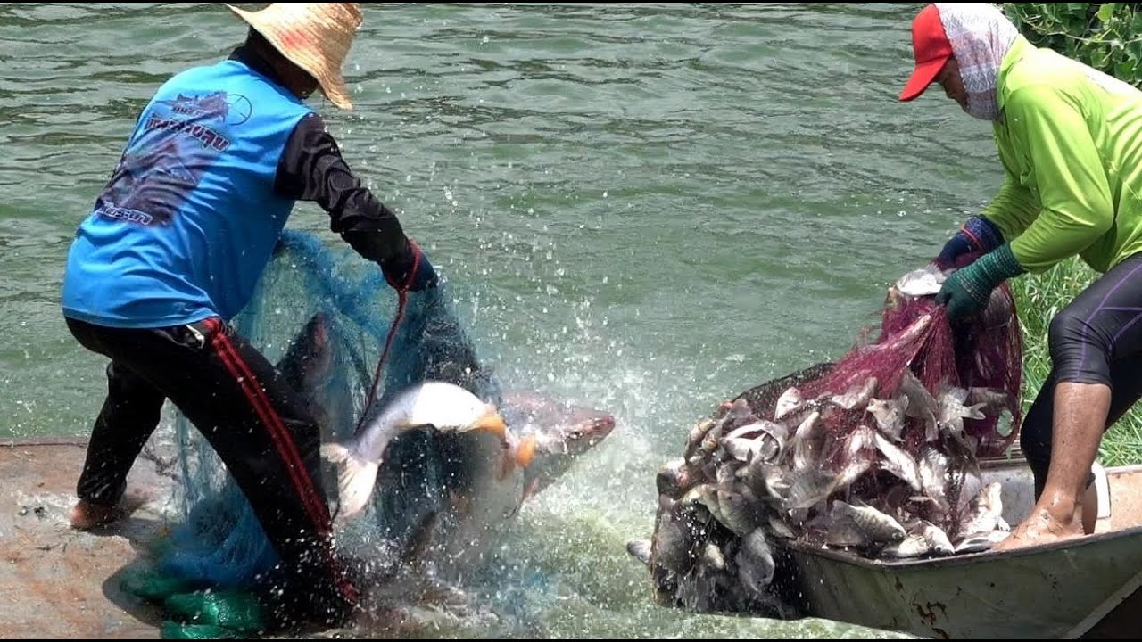 จับปลาบ่อบริรักษ์ฟาร์ม บัตร 2,000.- ได้ลุ้นกันทุกไม้! Fishing Challenge at Borirak Farm!