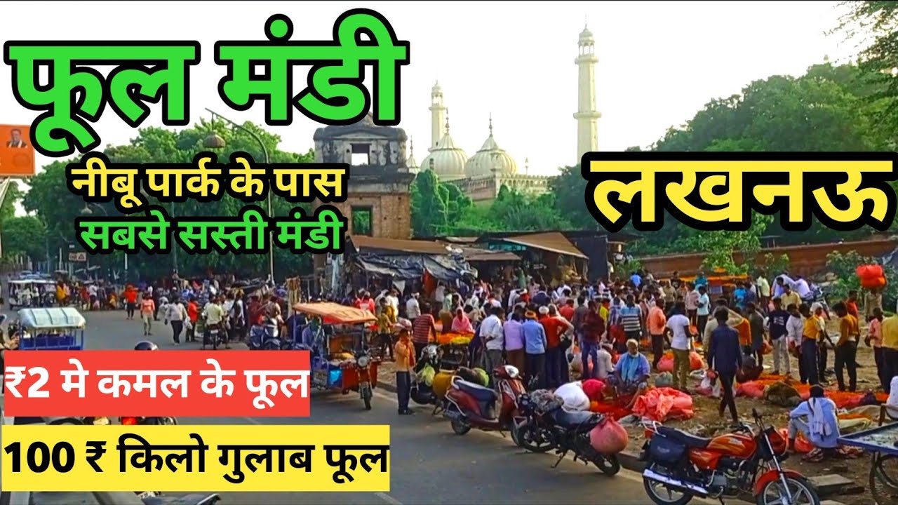 Phool Mandi Lucknow |Phool Mandi |Lucknow Phool Mandi |Xmartnaman blog