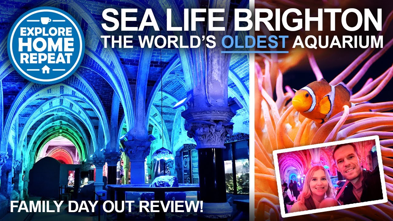 Sea Life Centre Brighton | Полный обзор и экскурсия | Стоит ли вашей семье посетить этот аквариум?