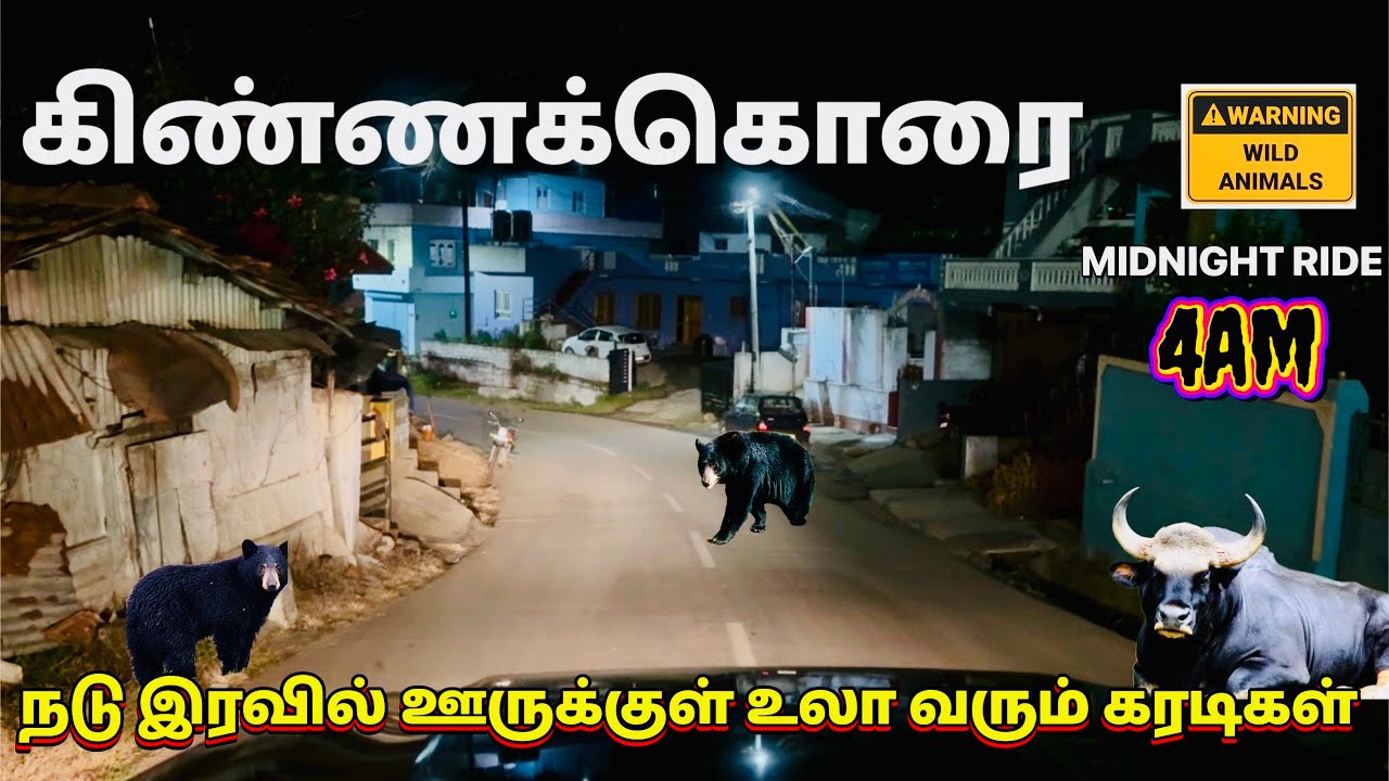 COONOOR TO KINNAKORAI MIDNIGHT RIDE BEAR 🐻 SPOTTED THE LAST VILLAGE OF NILGIRIHILLS LAND OF PEACE 😱