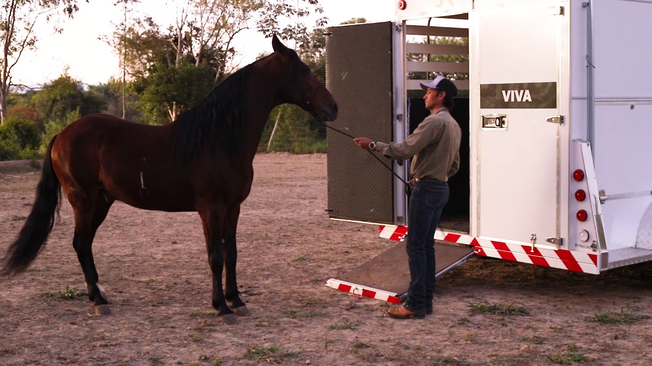 Forma de ensinar o cavalo entrar no Trailer I Paulo Mori