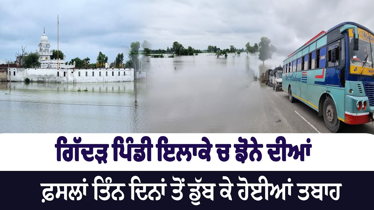 #LIVE:  ਹਰ ਪਾਸੇ ਤਬਾਹੀ : Jalandhar-Ferozepur National Highway ਬੰਦ