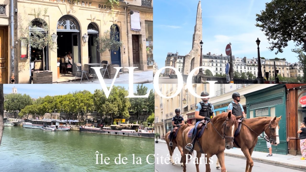 Île de la Cité de Paris #paris #cité #l’orangerie