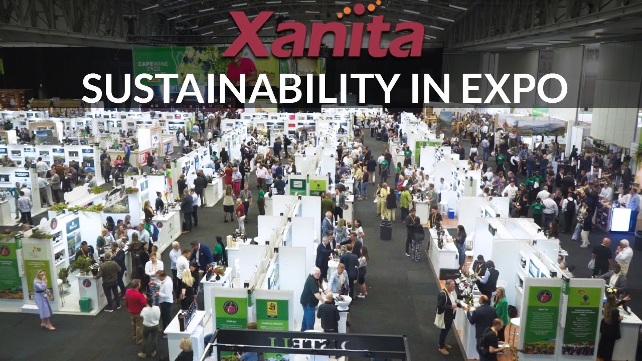 Transforming Exhibits: The Power of Xanita Fiberboard in Sustainable Design