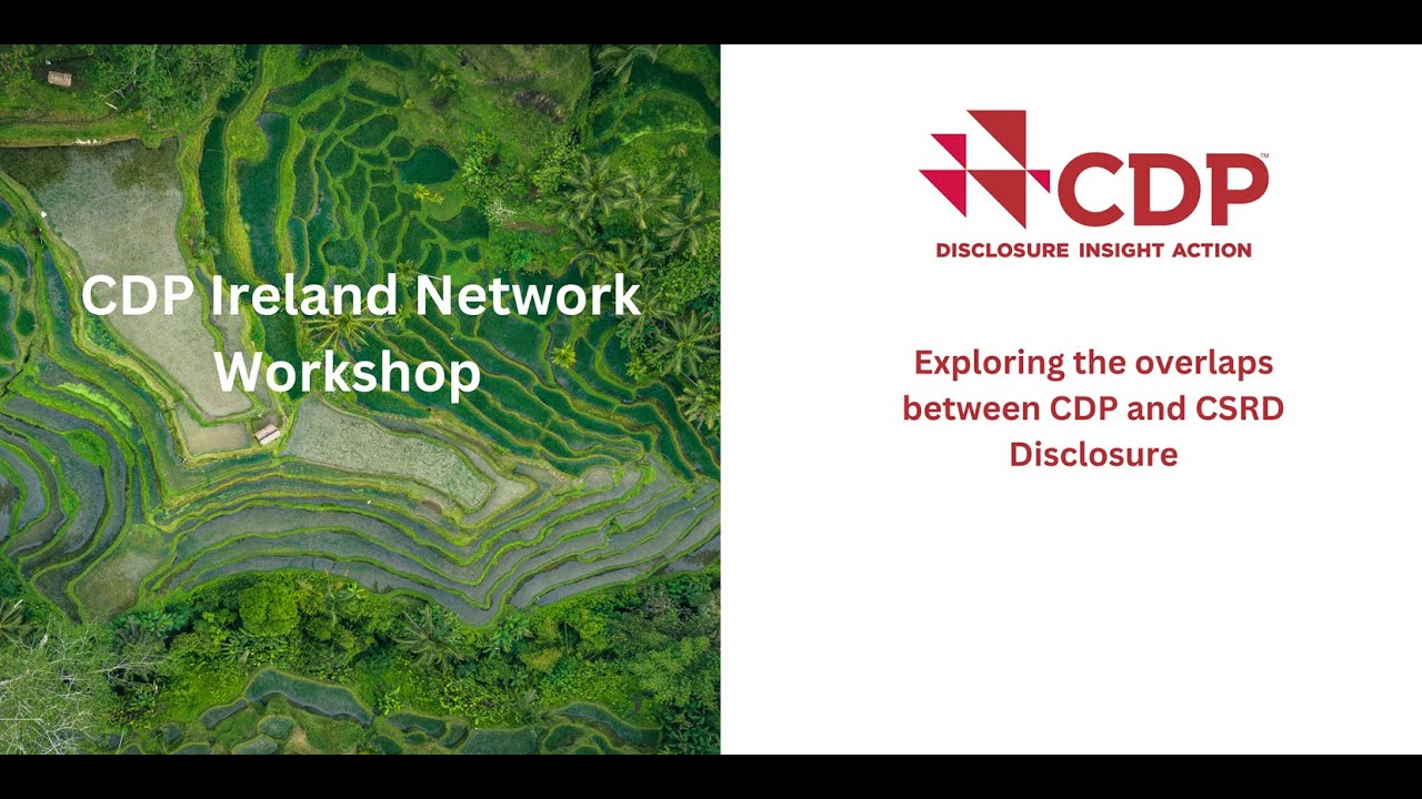 Exploring the overlaps between CDP and CSRD Disclosure
