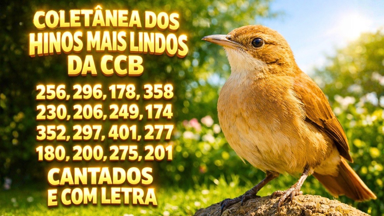 🎶 HINOS CCB CANTADOS COM LETRA | SELEÇÃO DE LOUVORES QUE EDIFICAM A ALMA E FORTALECEM A FÉ 🌟🙏