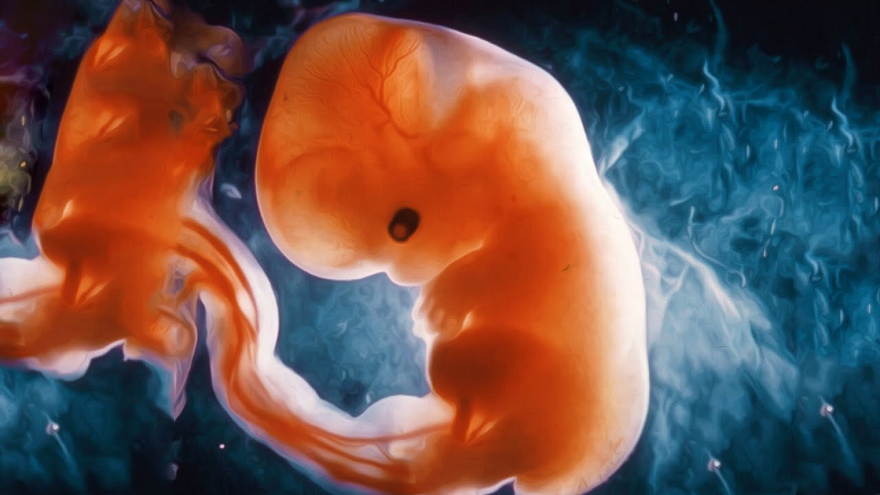 Ley de Aborto: Del Papel a la Realidad