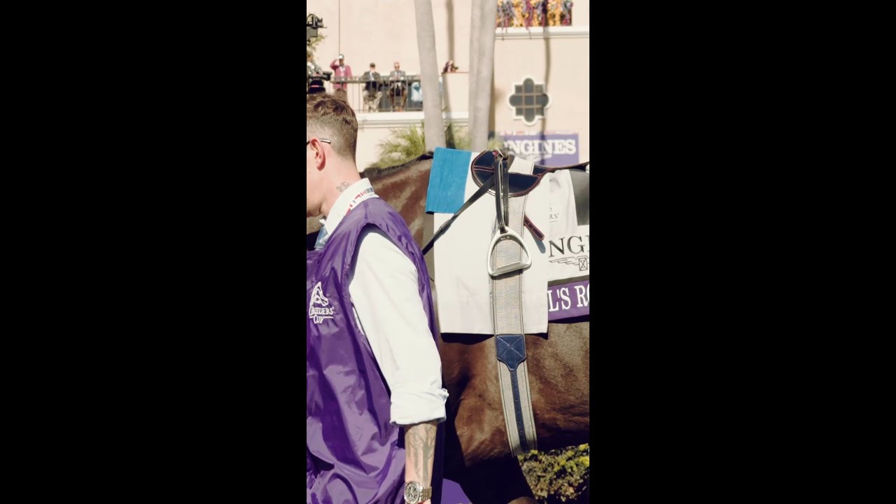 Rebel's Romance, 2024 Breeders' Cup Turf Champion