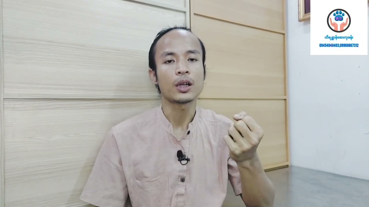 သံပုရာသီးနဲ့ ​ခွေး/​ကြောင်​​လေးတွေမှာ တွယ်ကပ်​နေတဲ့သန်း၊လှေးကိုဘယ်လိုသတ်မလဲ?(Lemon toxicity in pet)