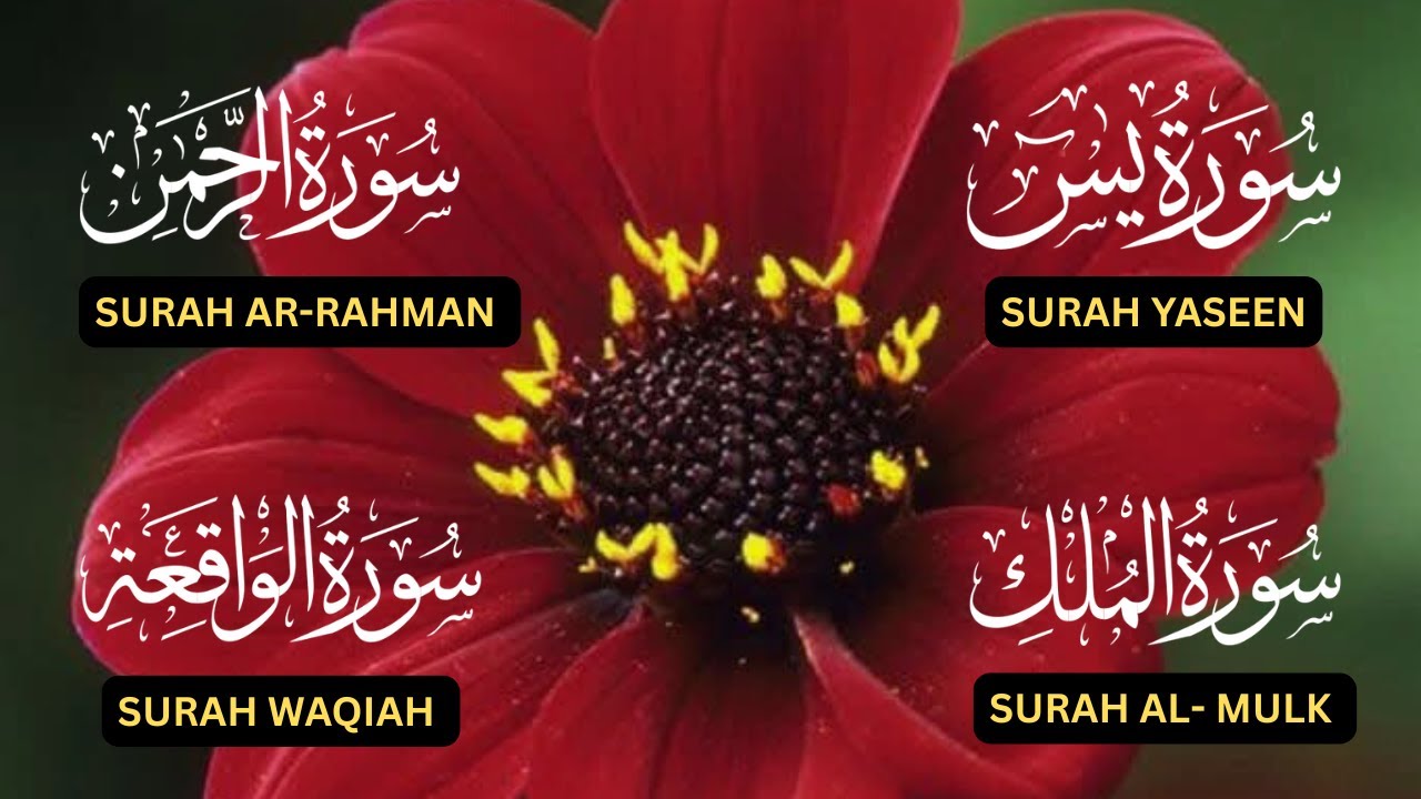 Surah Yaseen♥️,Surah Rahman♥️,Surah Waqiah♥️,Surah Al Mulk♥️| Most Powerful Quran Surahs For Peace❤️