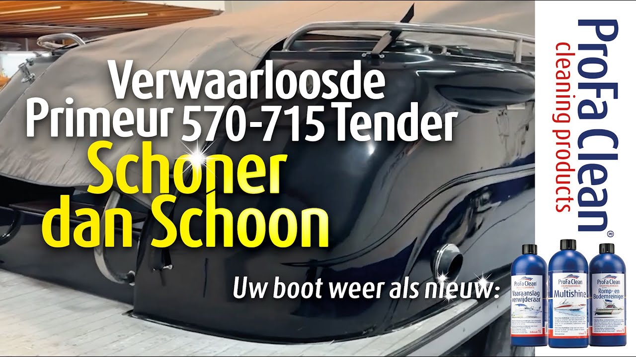 Verwaarloosde Primeur 570 600 610 620 615 700 710 715 Tender schoonmaken met ProFa Clean!
