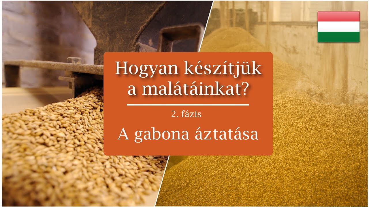 Hogyan k&eacute;sz&iacute;tj&uuml;k a mal&aacute;t&aacute;inkat? 2. f&aacute;zis | Castle Malting